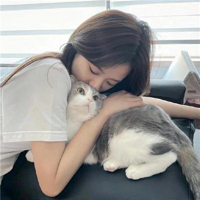 加菲猫和他的朋友们第二季
